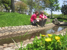 2012年04月29日ARK's