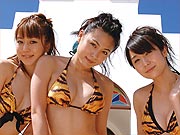 CR楽園むすめ