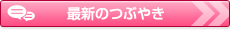 最新のつぶやき