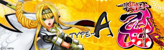 戦国乙女～TYPE-A～