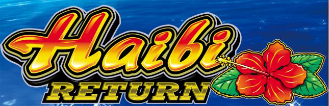 ハイビリターン-30