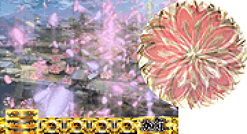 桜吹雪連続演出予告