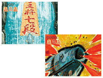 鯉SPリーチ