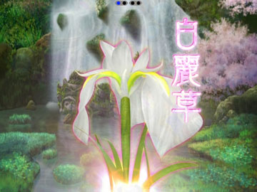 幻想花予告