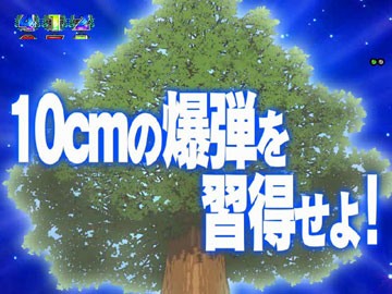 【特訓予告】10cmの爆弾を習得せよ！