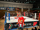 「パチスロハナハナプレゼンツ BATTLE BIG BONUS 2024~福岡~」(パイオニア)