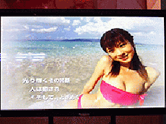 CRほしのあきの胸キュンパラダイス』発売記念イベント(大一商会)画像 