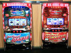 パチスロ新機種「サンサンオアシス キュイーンVer.」内覧会(パイオニア