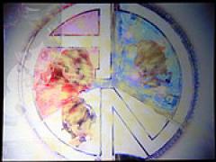 パチンコ新機種「CR中森明菜・歌姫伝説～恋も二度目なら～」プレス発表