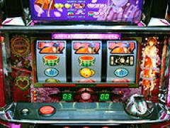 星羅はお告げがお好き 星羅はお告げがお好き